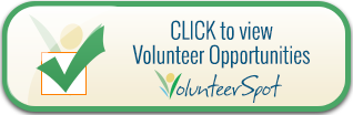 Volunteer